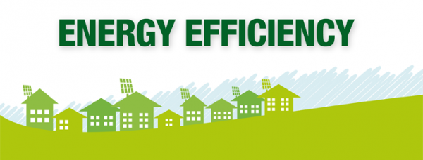 Appraising Energy Efficient Residential Properties 8 Hour* - Image 2